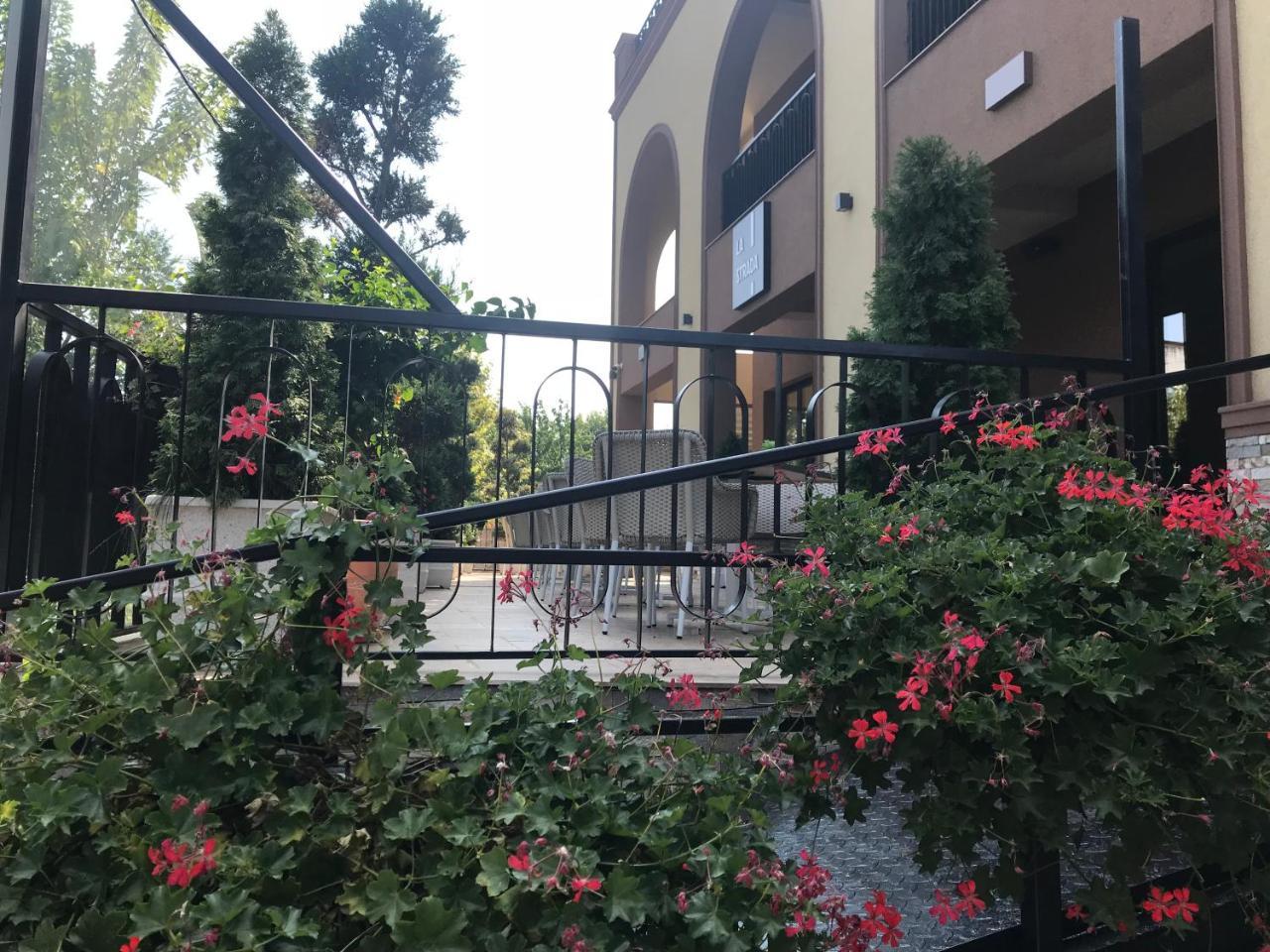 Hotel Edma Alexandria Bagian luar foto